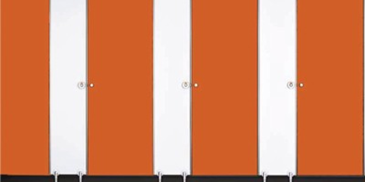 What Are the Best Toilet Partition Ideas and Toilet Partition Designs?