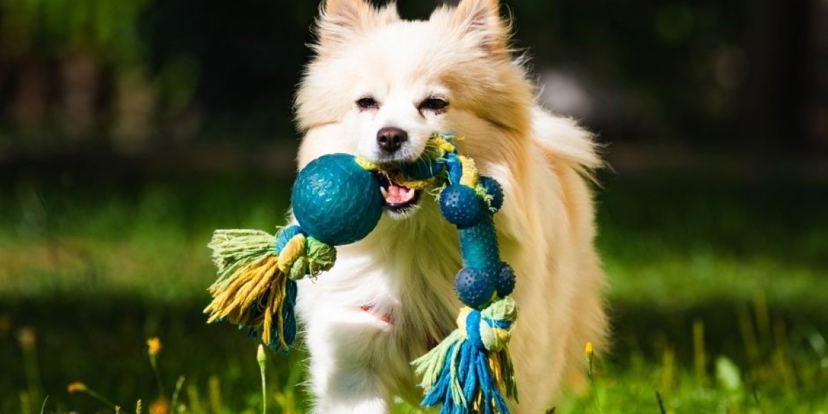 Durable Dog Toys: Finding Toys That Actually Last