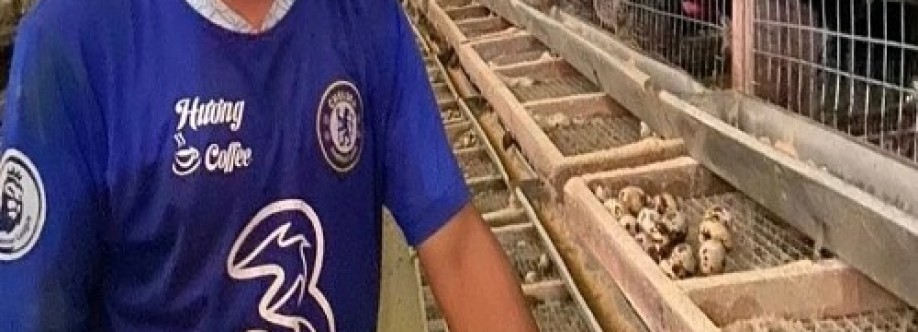 founderbj38 Cover Image