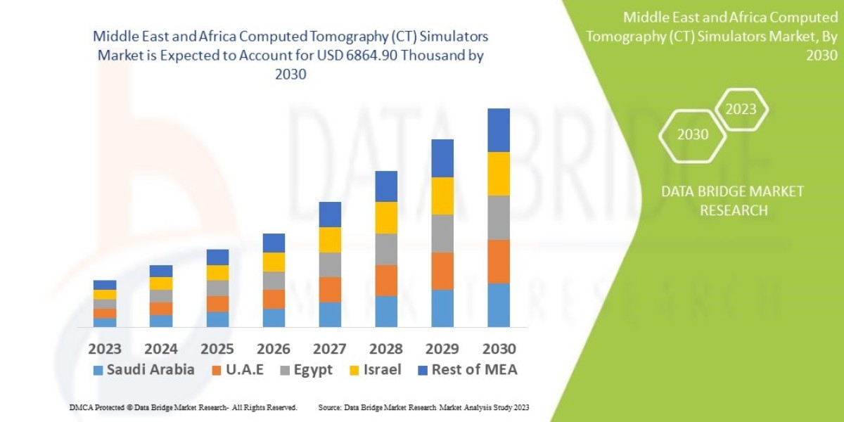 Middle East and Africa Computed Tomography (CT) Simulators Market Industry Statistics: Growth, Share, Value, Insights, a