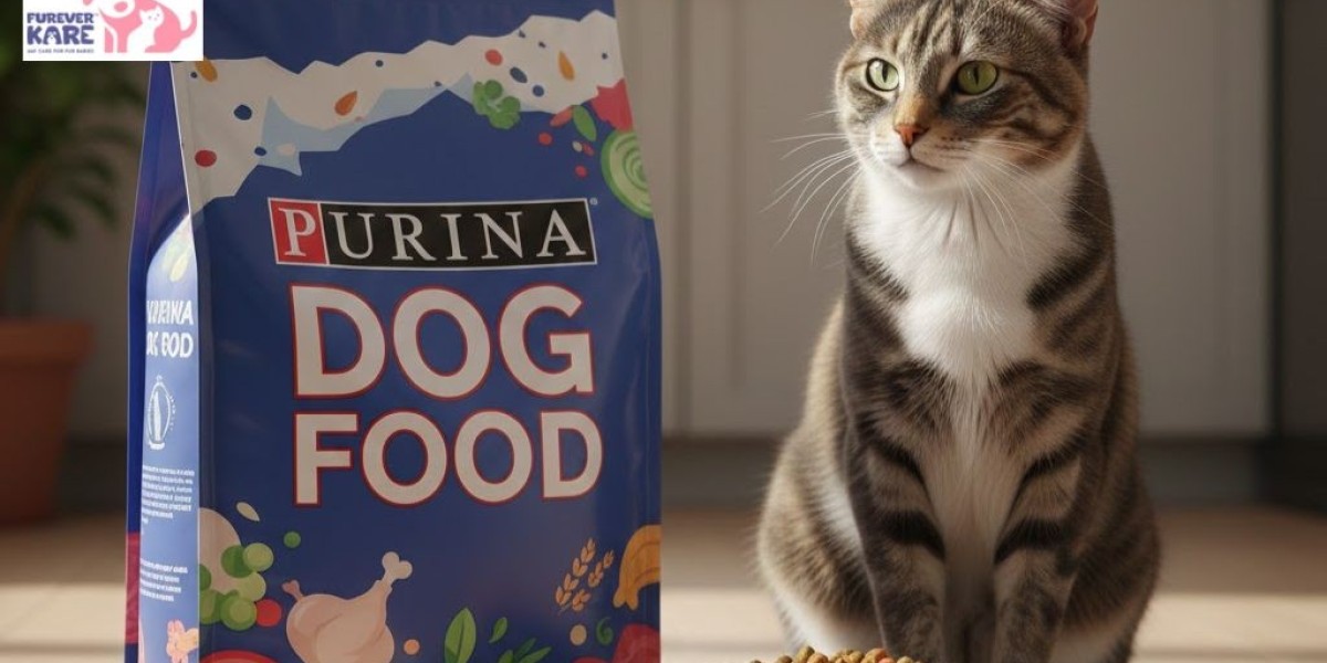 Purina Cat Food Nutrition Guide for Owners | Furever Kare
