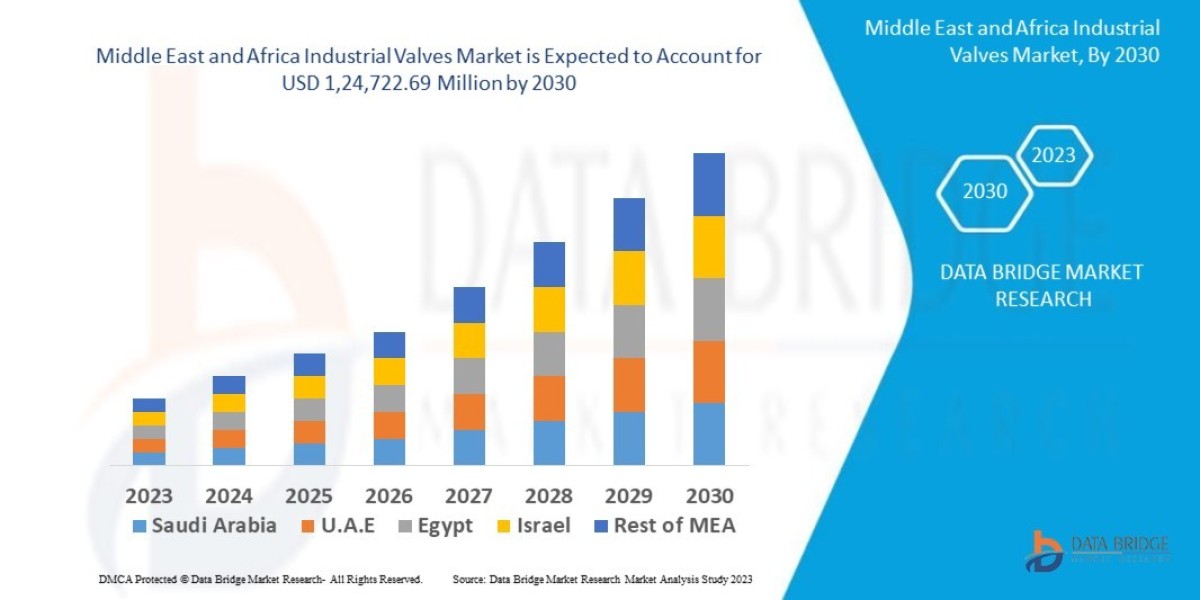 Middle East and Africa Industrial Valves Market : Insights, Key Players, and Growth Analysis 2025 –2032
