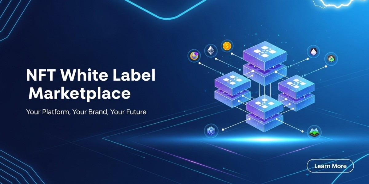 Branding a Web3 Platform: How to Build a Strong NFT Brand Identity Using a White-Label Solution