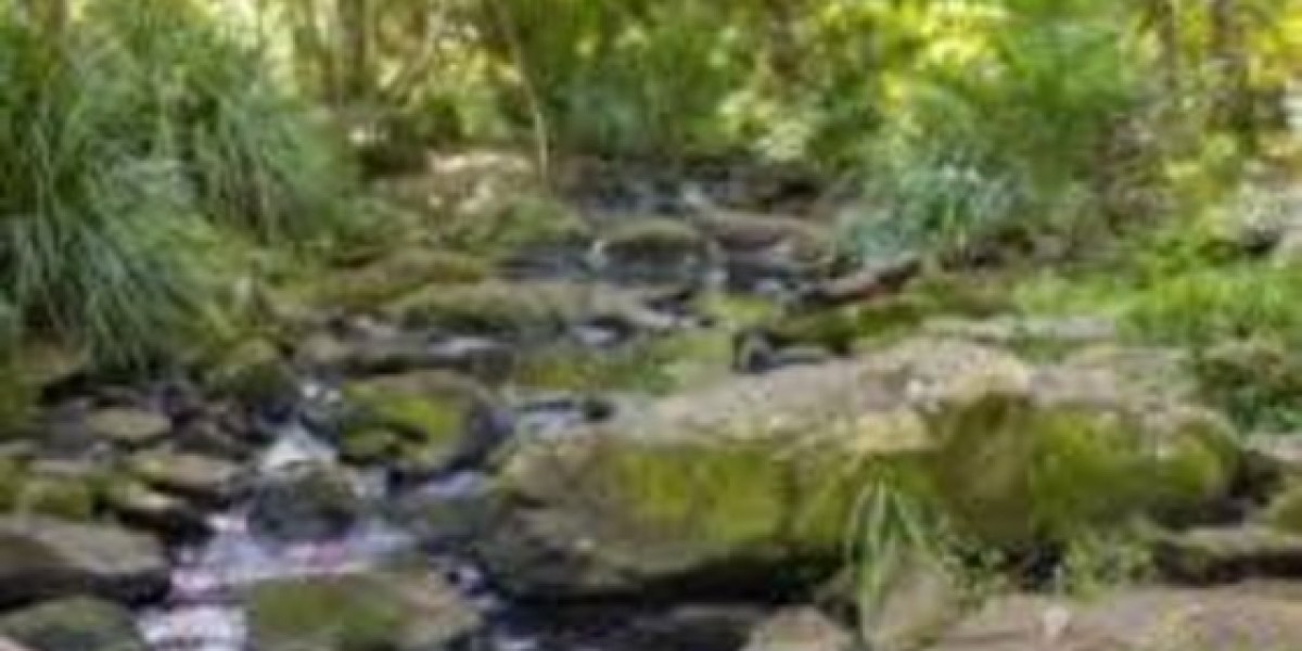 Importance of Building and Pest Inspection for Property Investors