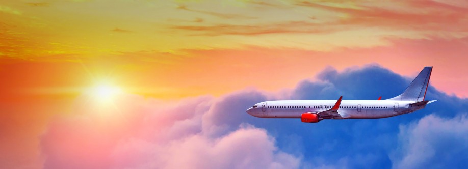 The Jersey Flights Cover Image