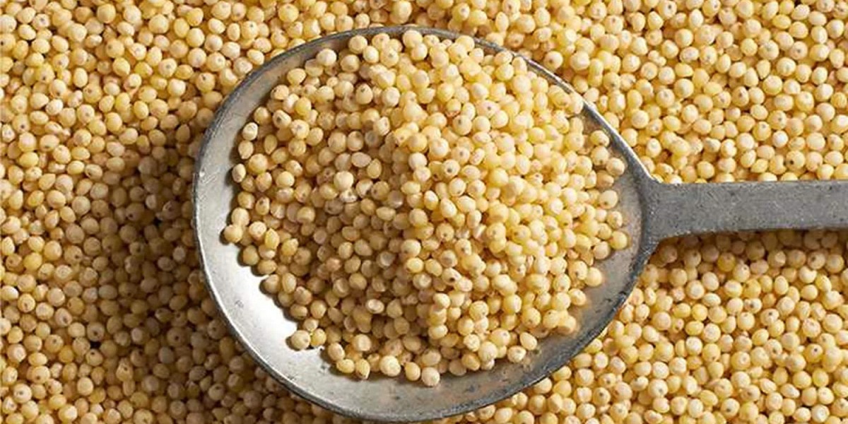 What is Kodo Millet and Why it is Called Nutritious Grain