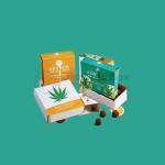 Kate Johnson Profile Picture