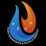 Inspection service in libya Profile Picture