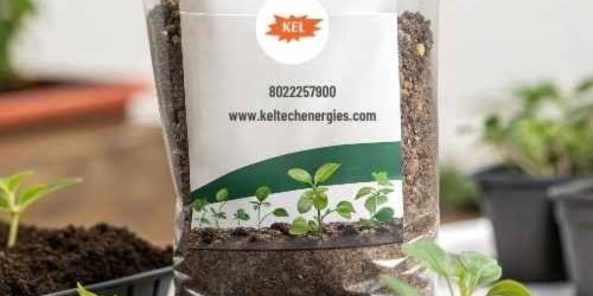 Soilless Soil for Plants Expert Benefits Guide for Gardeners