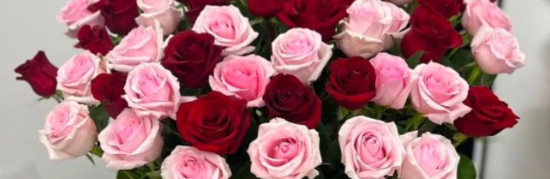 thebloom room Cover Image