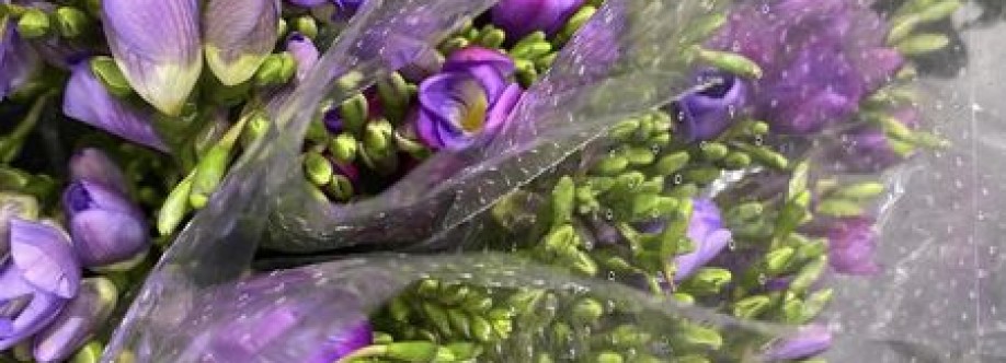 blossomof wyndham Cover Image