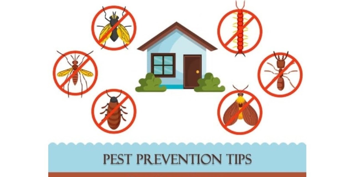 Essential Home Defenses You Need Before Pests Take Over