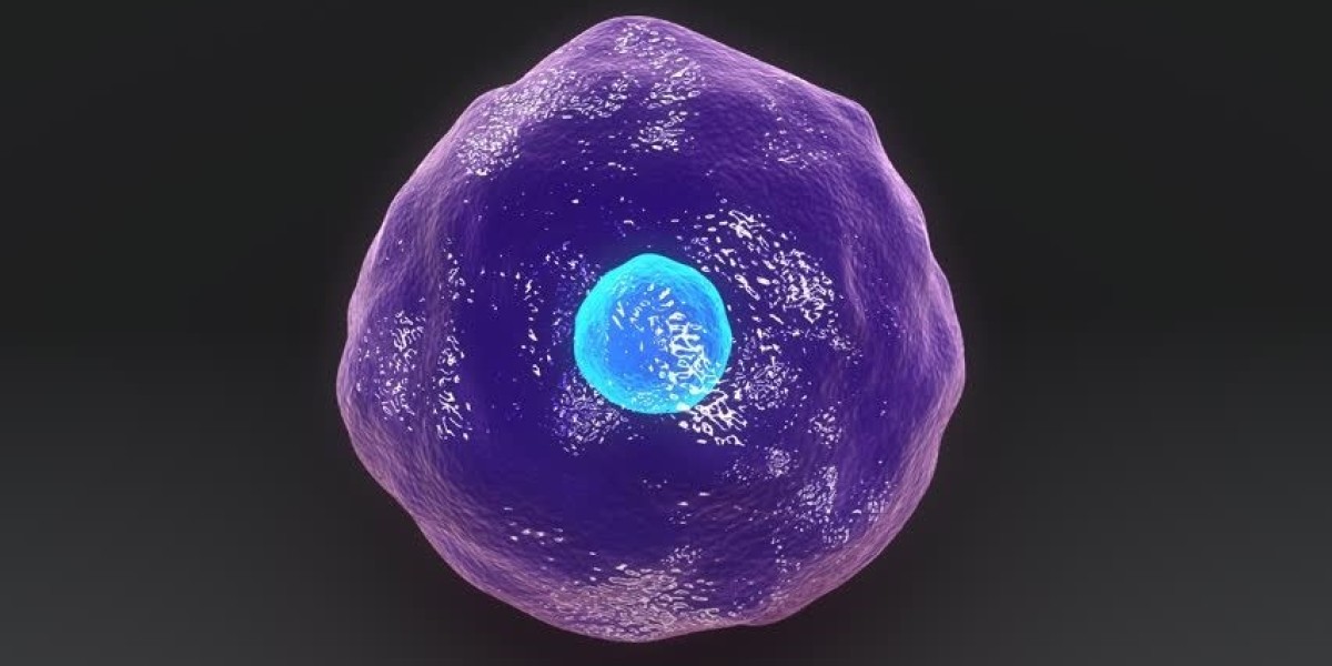 From EBs to qPCR: Overcoming the Hidden Challenges in iPSC Characterization