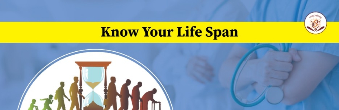 festival info Cover Image