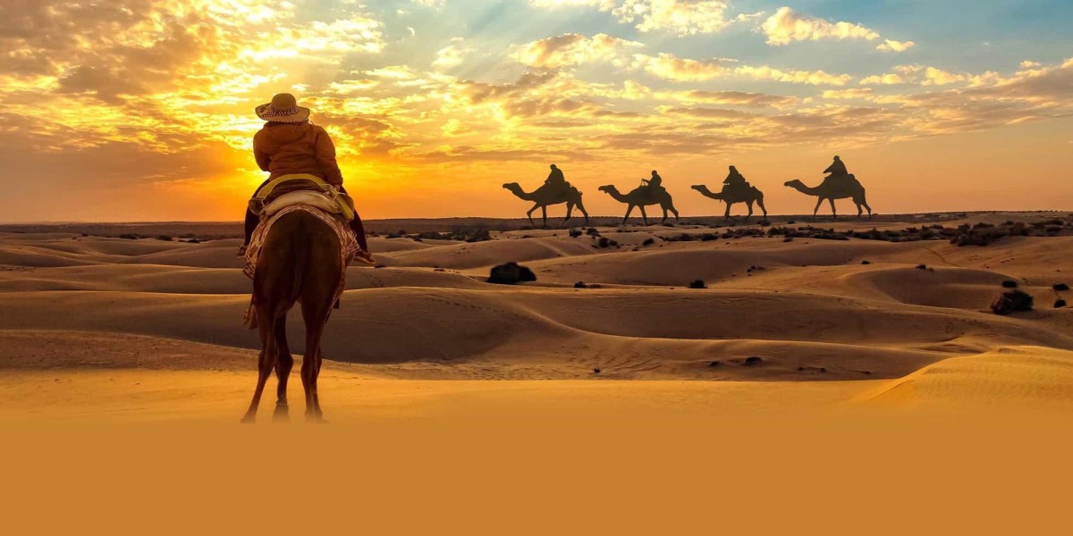 Experience the Magic of Arabian Safari Adventures in the UAE