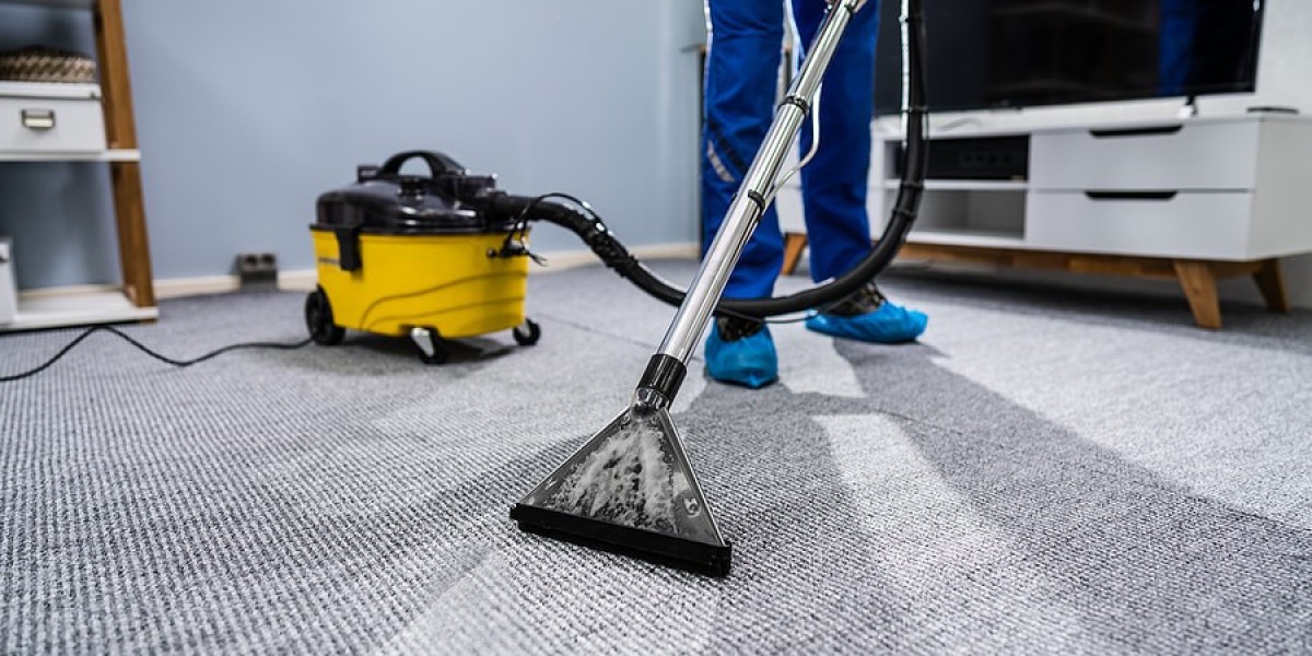 Expert Carpet Care for a Cleaner Home in Columbia, SC