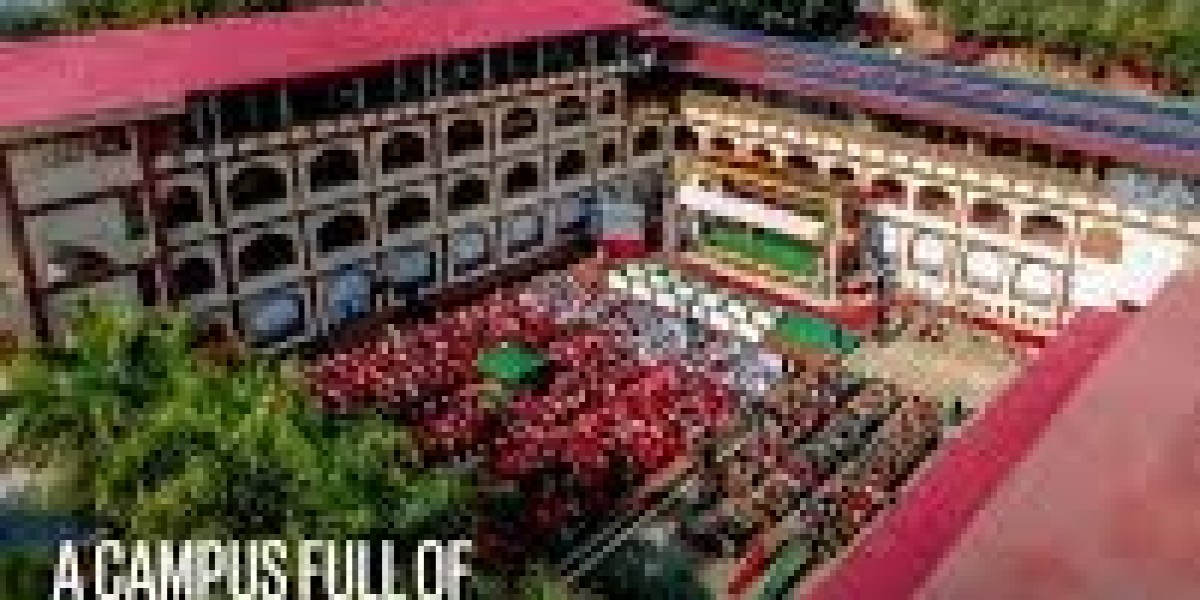 How to Choose the Best CBSE School in Dehradun for Your Child