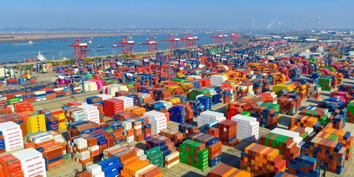 China’s BRI Enterprise and Its Impact on Global Cooperation