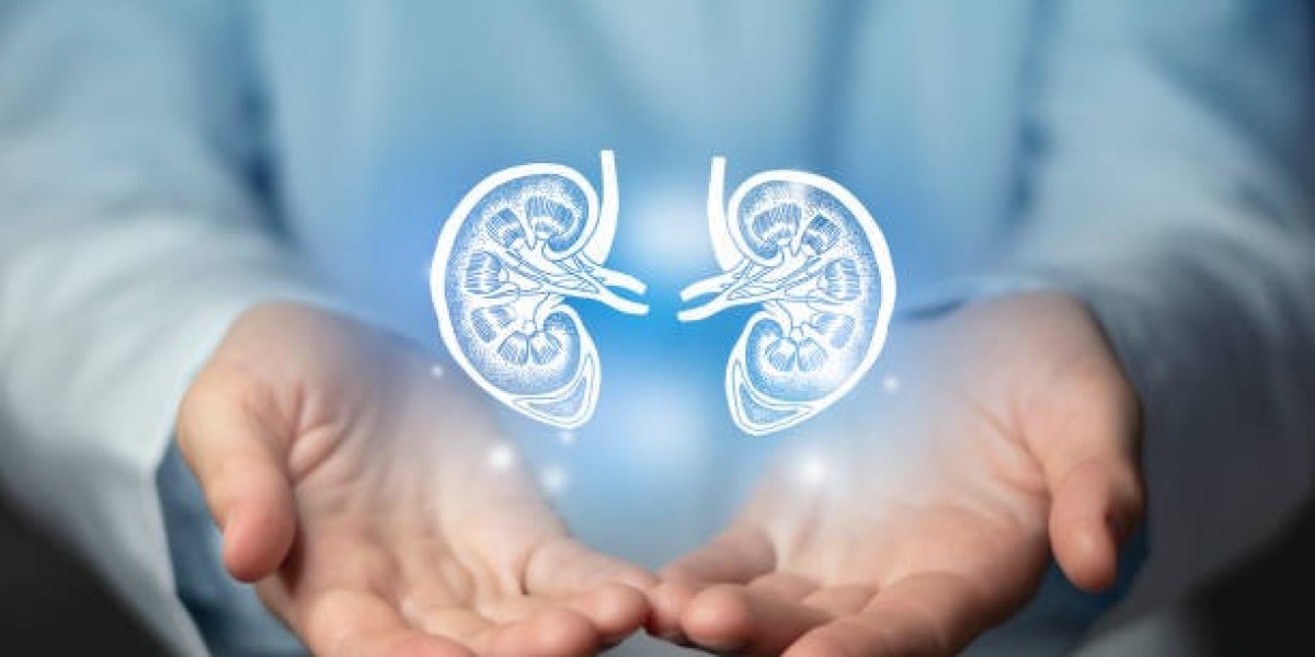 Diabetic Kidney Disease Explained: Symptoms, Care, and Treatment Options