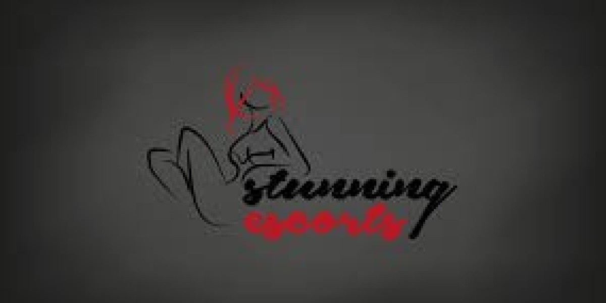 High-Class Dubai Escort Services for Premium Experiences