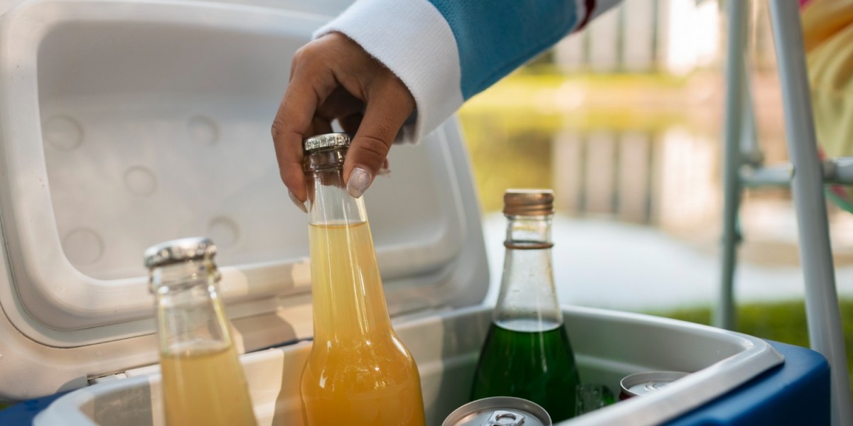 Portable Car Freezer