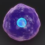 cailynn Profile Picture