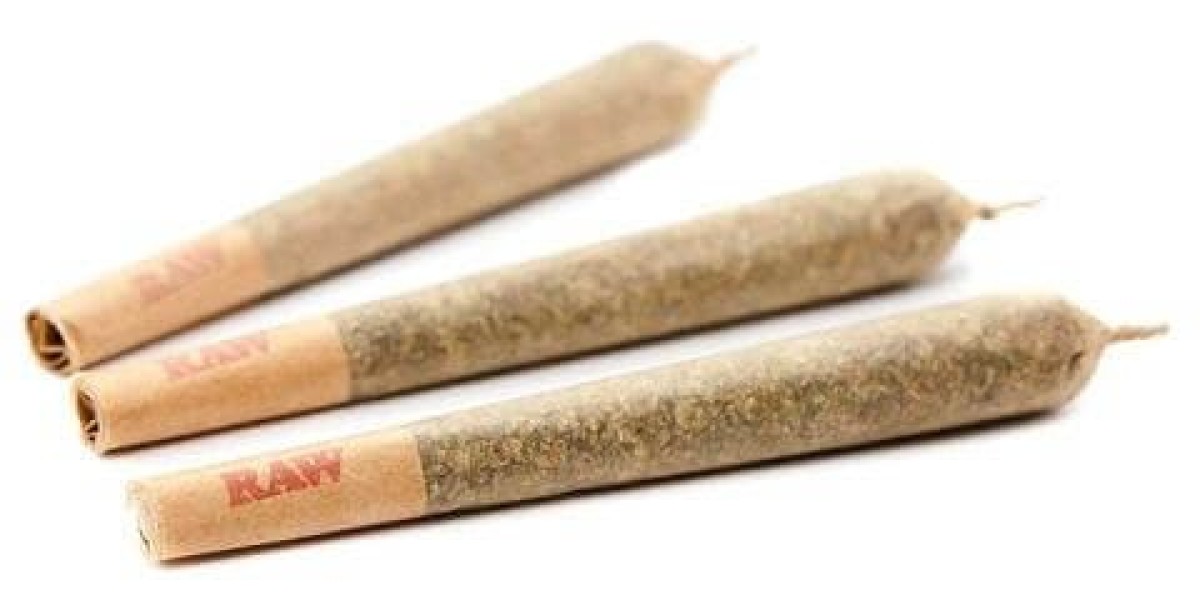 Rolling Papers and Filters in a Growing Local Culture