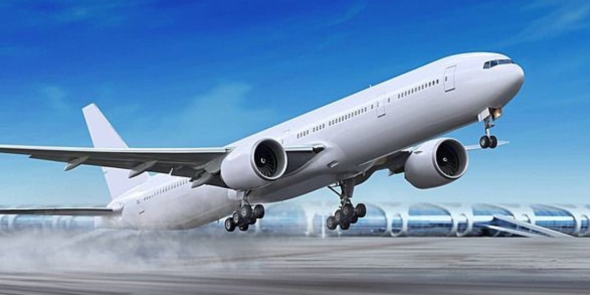 Types of Food Available Via American Airlines Customer Support Phone Number Ontario