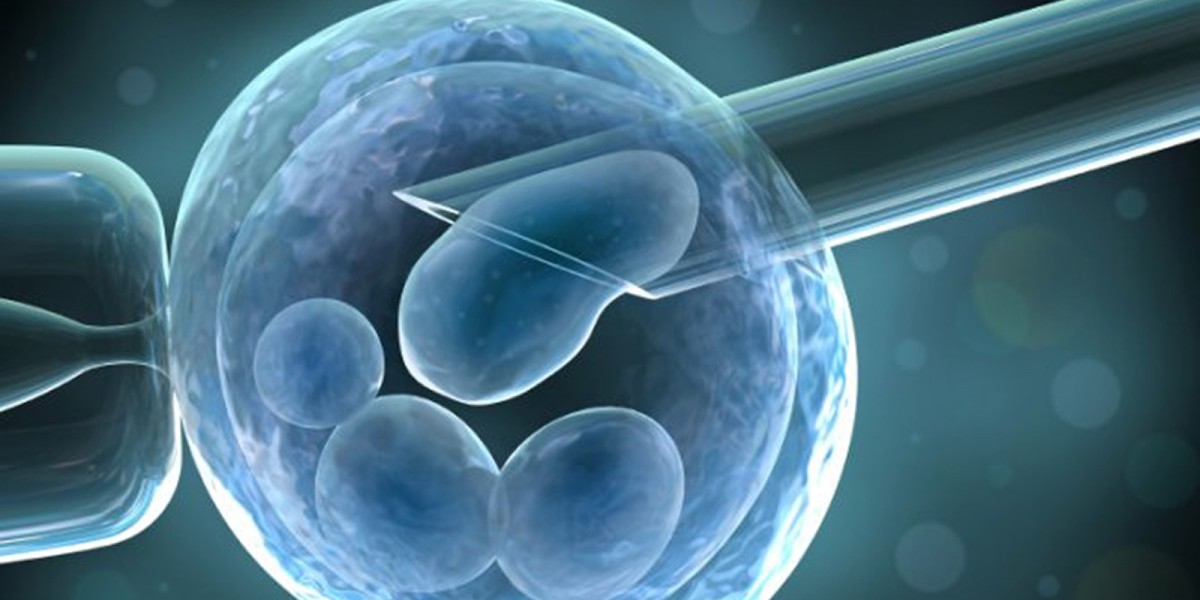 Decoding Pluripotency: A Function‑Gene‑Protein Framework for Robust iPSC Quality Evaluation