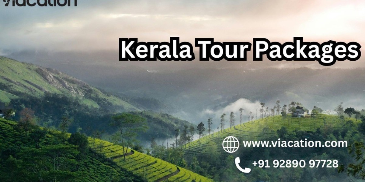 Explore Kerala Packages with Private Houseboat Experiences