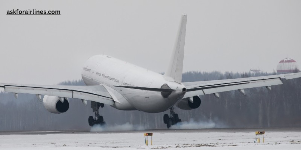 Online Booking Stuck? Connect With Air France Customer Support Phone Number New York