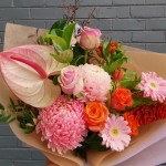 theflower land Profile Picture