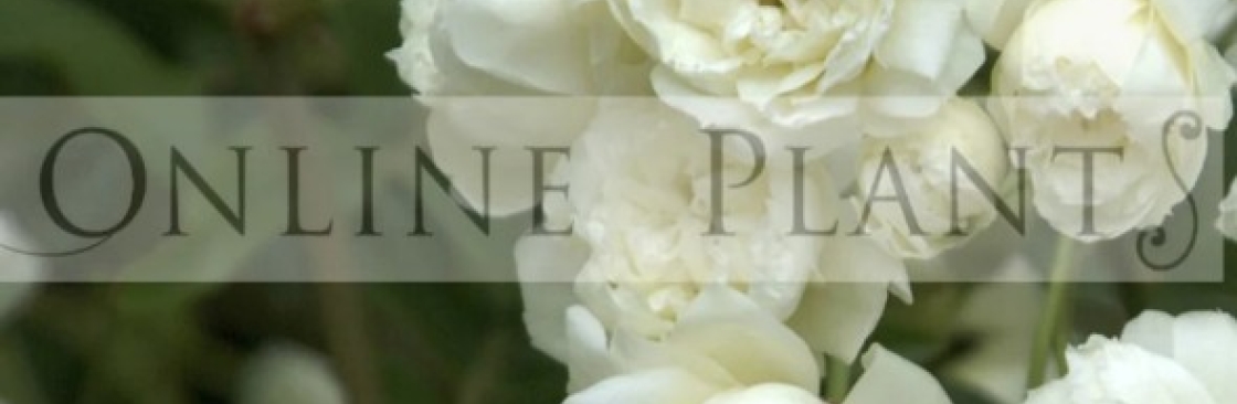 Online Plants Cover Image