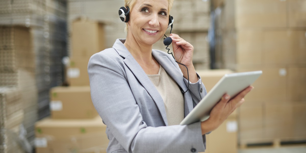 Procedural Dynamics of Border Processing in Brisbane