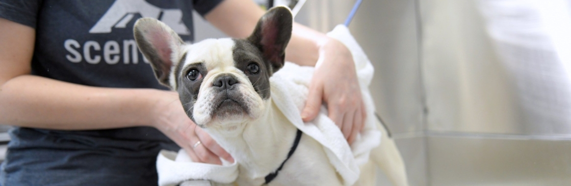 Scent Hound Apex Cover Image