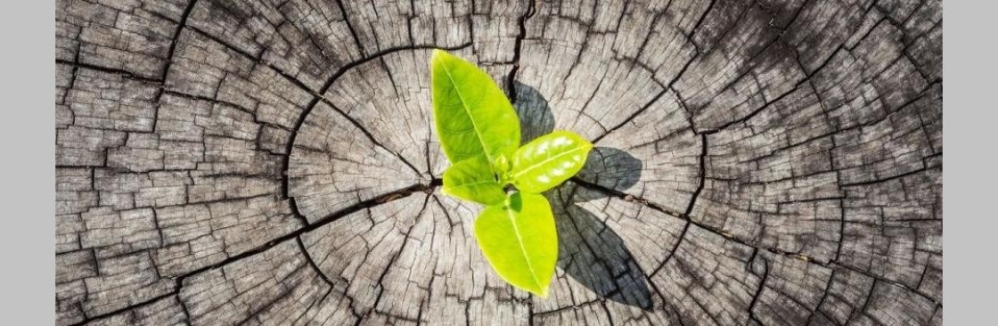 Made For Relationship Cover Image