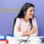 pchelpge Profile Picture