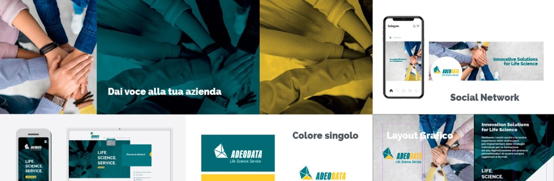 carrara communication Cover Image