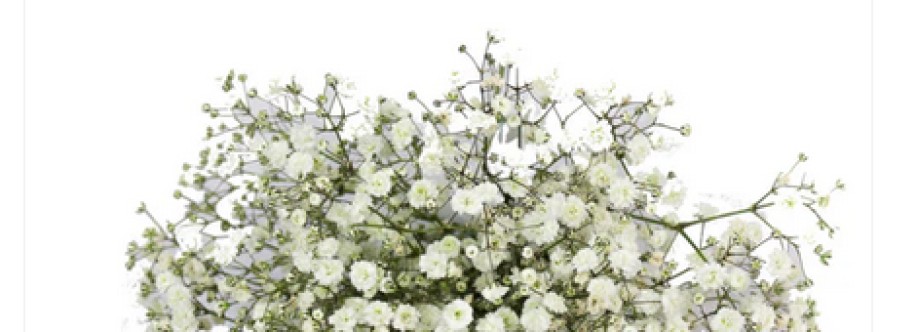 living flowers Cover Image