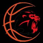 Lion Heart Sports Profile Picture