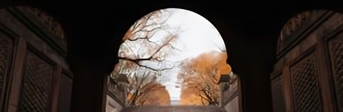 Surya Garigipati Photography and Films Cover Image