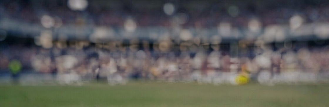 Reddy Anna Cricket Cover Image