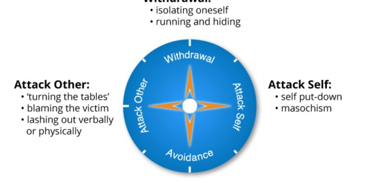 Compass of Shame Leadership Training & Equity Solutions | Akoben LLC