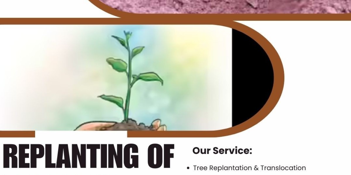 Replanting of Trees in Hyderabad – Supporting a Greener Urban Future