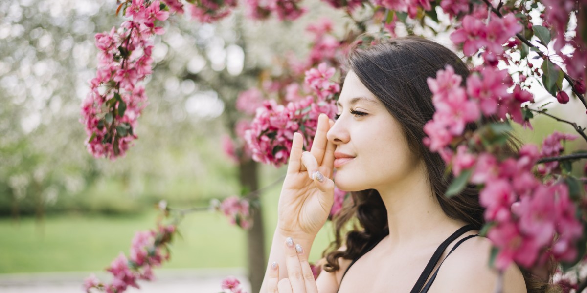 National Cherry Blossom Festival 2026: A Celebration of Spring in Washington DC