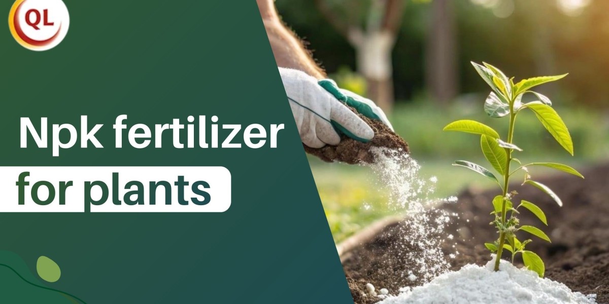 NPK Fertilizer for Plants: A Complete Guide for Healthy Growth