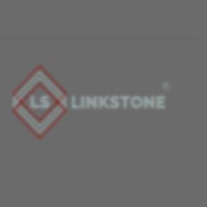 Link stone Profile Picture