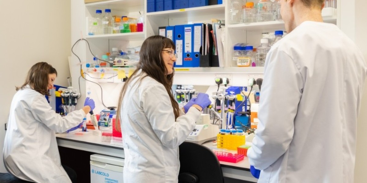 Medical Technology PhD Thesis Help for Academic Success