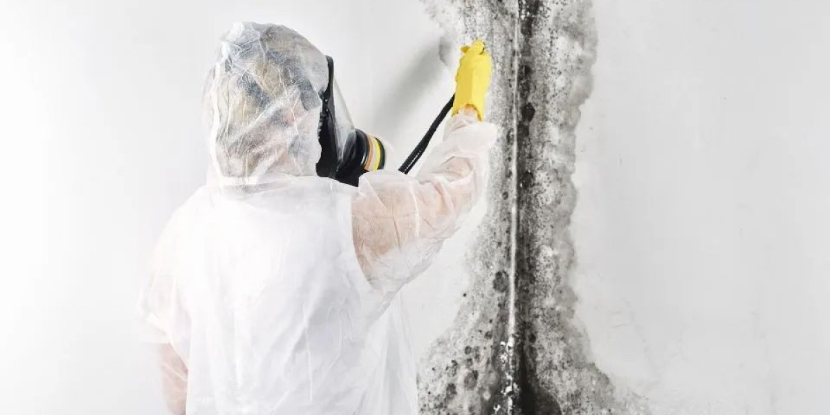 Mold Inspection Atlanta