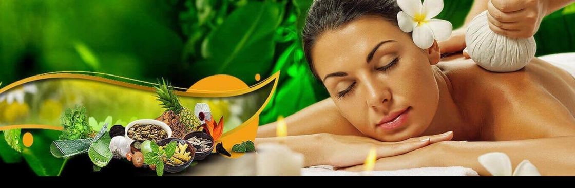 Patanjali Wellness Center Cover Image